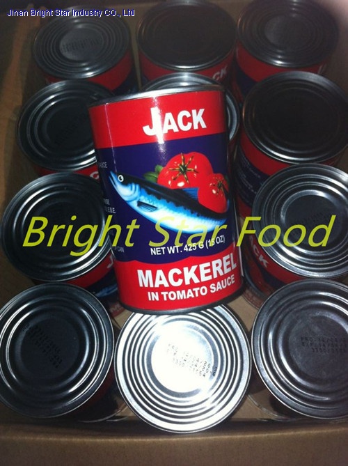 Canned Mackerel in Tomato Sauce